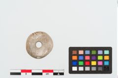 Foto von Beinringperle (NHMW-PRAE-024941)